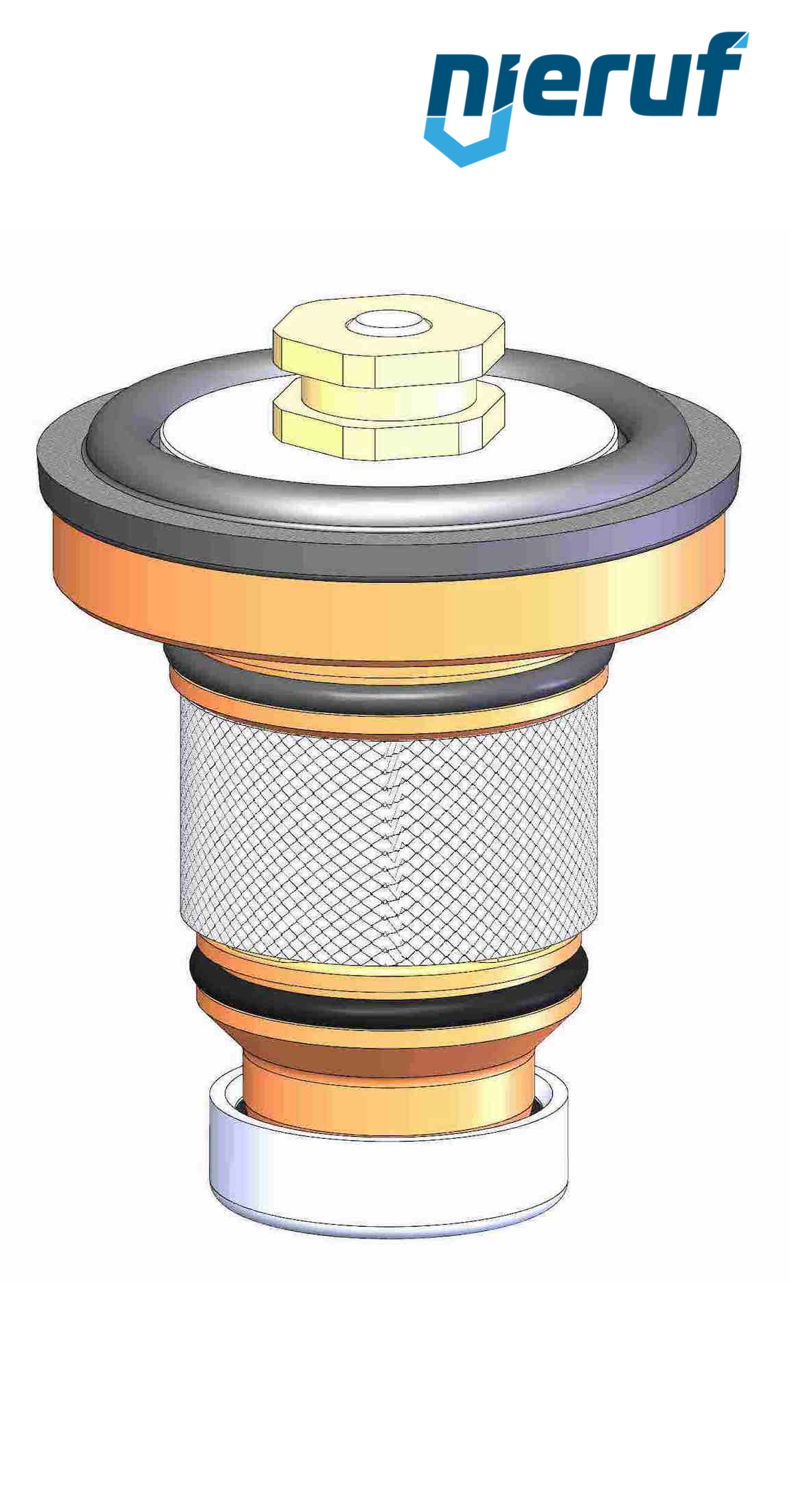 Einsatz FKM DM06 DN65 - 2 1/2" Zoll für Ausführung 1-8bar