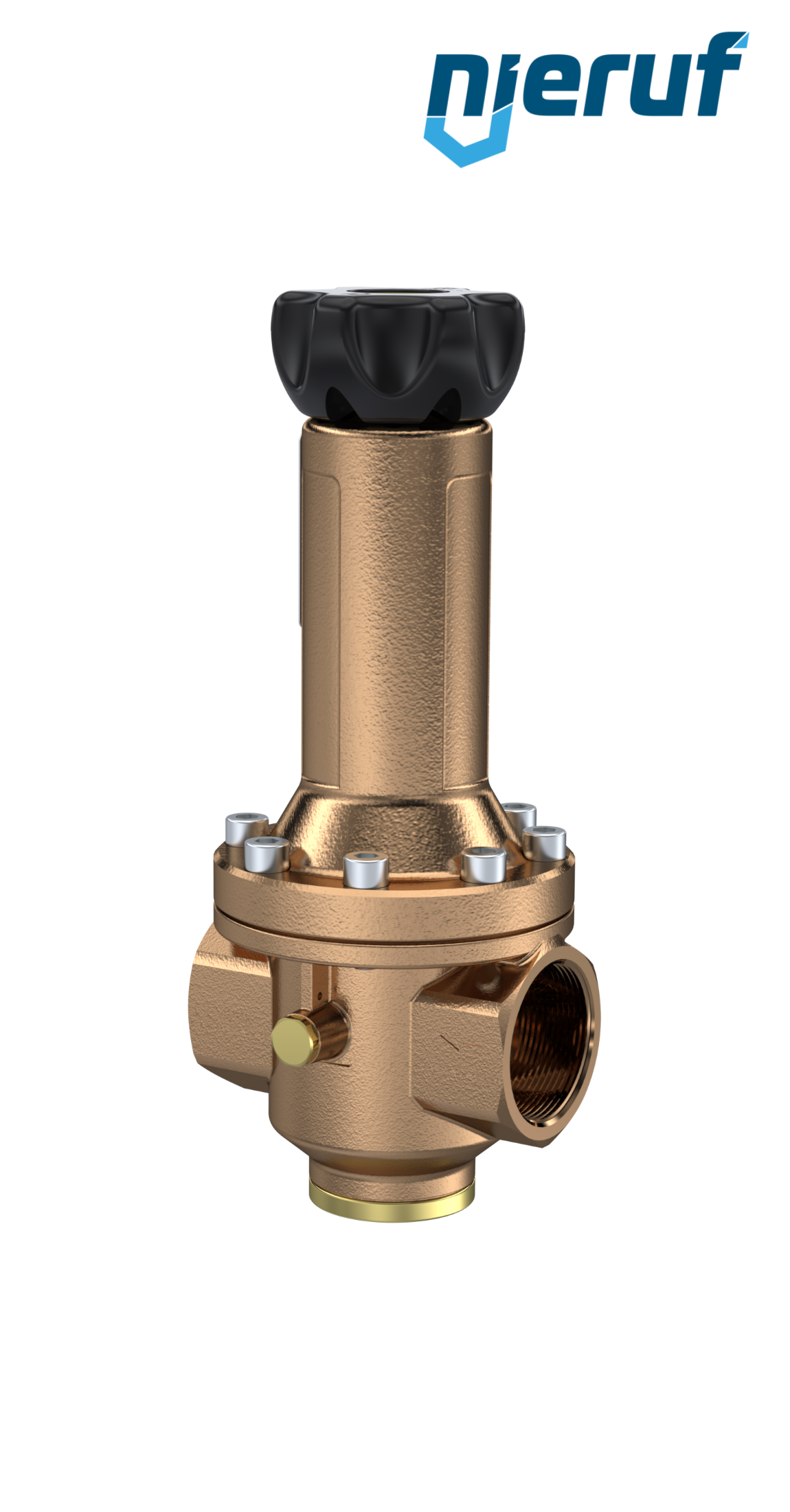 Präzisions-Druckregler mit Sekundärentlüftung 1 1/2" Zoll DM14 Rotguss FKM 0,5 - 15 bar