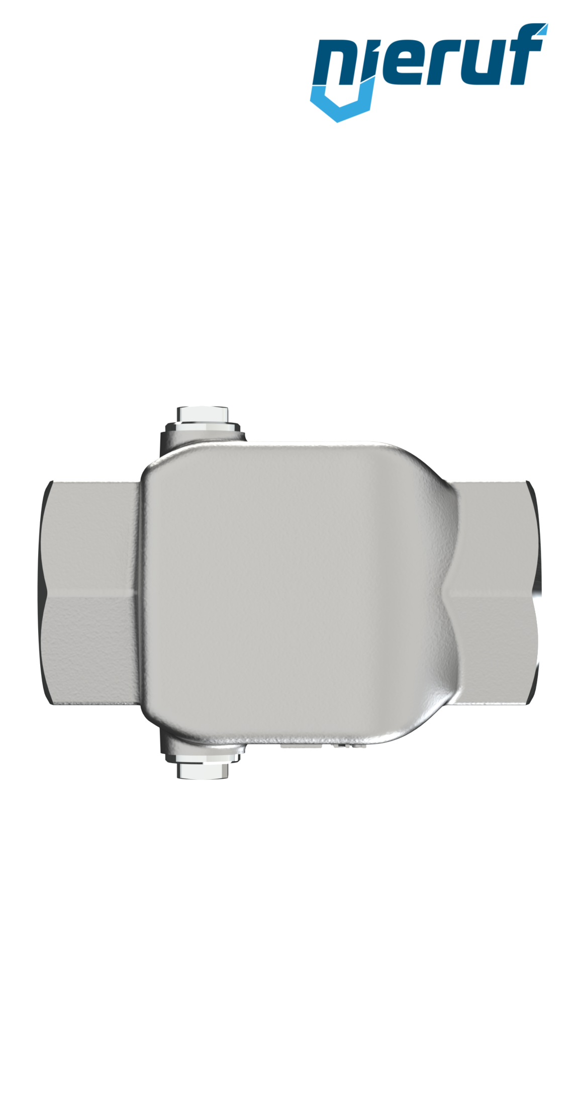 Dampfdruckminderer 1" Zoll NPT DM21 Edelstahl PTFE / EPDM / FEPM 4,0 - 10,0 bar
