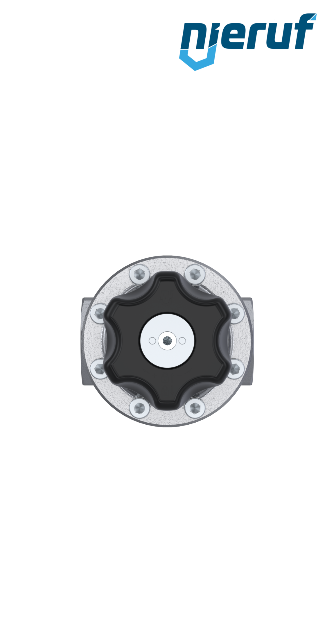 Präzisions-Druckregler 1 1/2" Zoll DM15 Edelstahl EPDM 5,0 - 30,0 bar