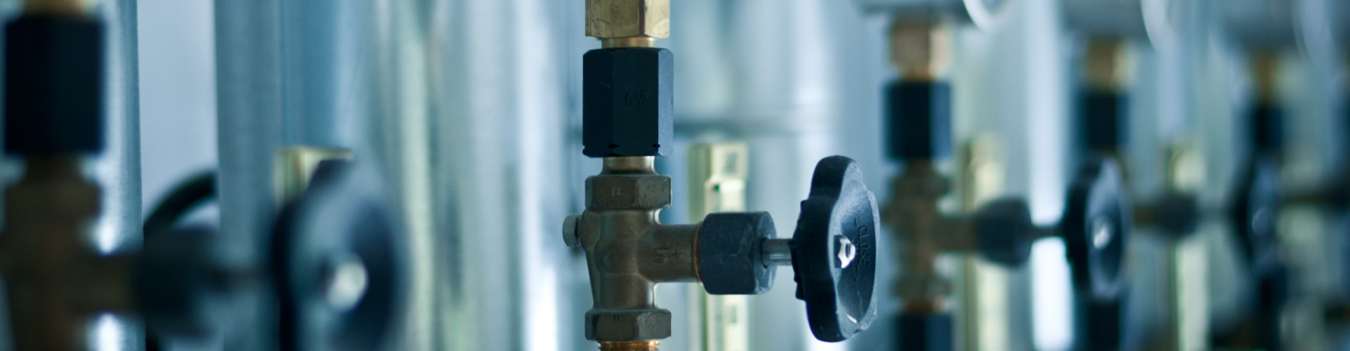 Valvole portamanometro