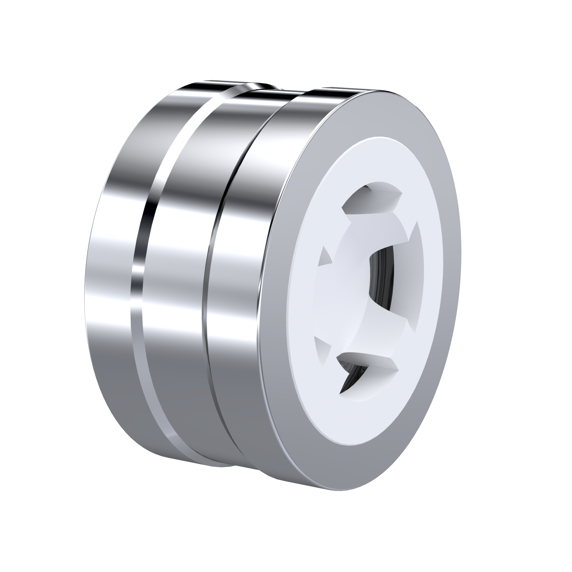 PTFE-Rückschlagventil DN65 - 2 1/2" Zoll PN10 DIN EN 1092-1