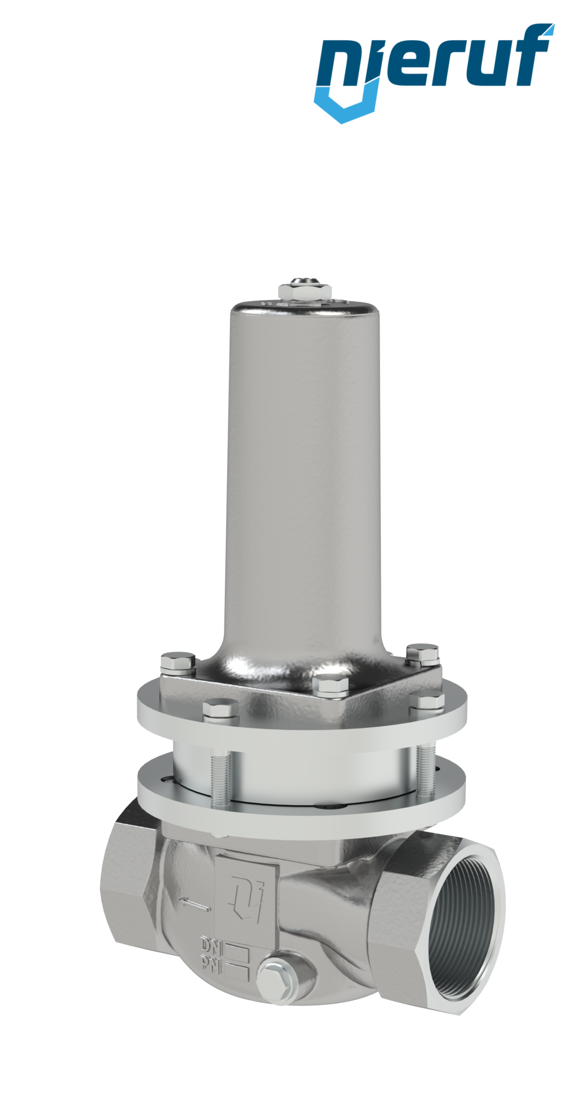 Niederdruck-Dampfdruckminderer 1 1/4" Zoll NPT DM21 Edelstahl PTFE / EPDM / FEPM 0,3 - 2,0 bar