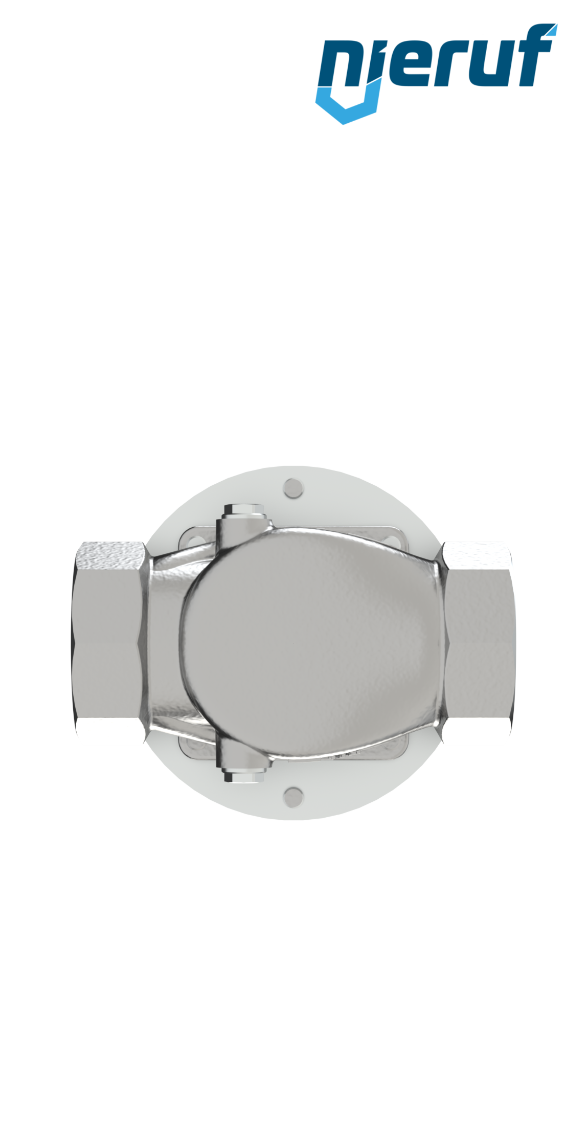 Niederdruck-Dampfdruckminderer 2" Zoll NPT DM21 Edelstahl PTFE / EPDM / FEPM 0,3 - 2,0 bar
