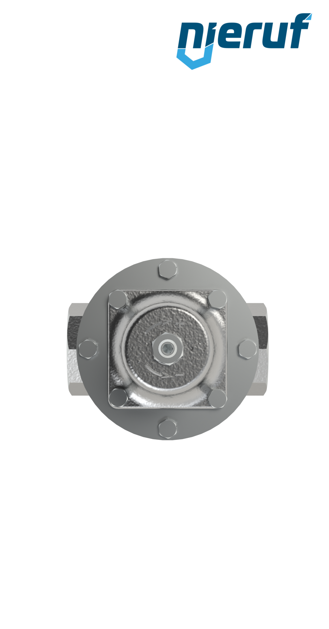 Niederdruck-Dampfdruckminderer 2" Zoll NPT DM21 Edelstahl PTFE / EPDM / FEPM 0,3 - 2,0 bar