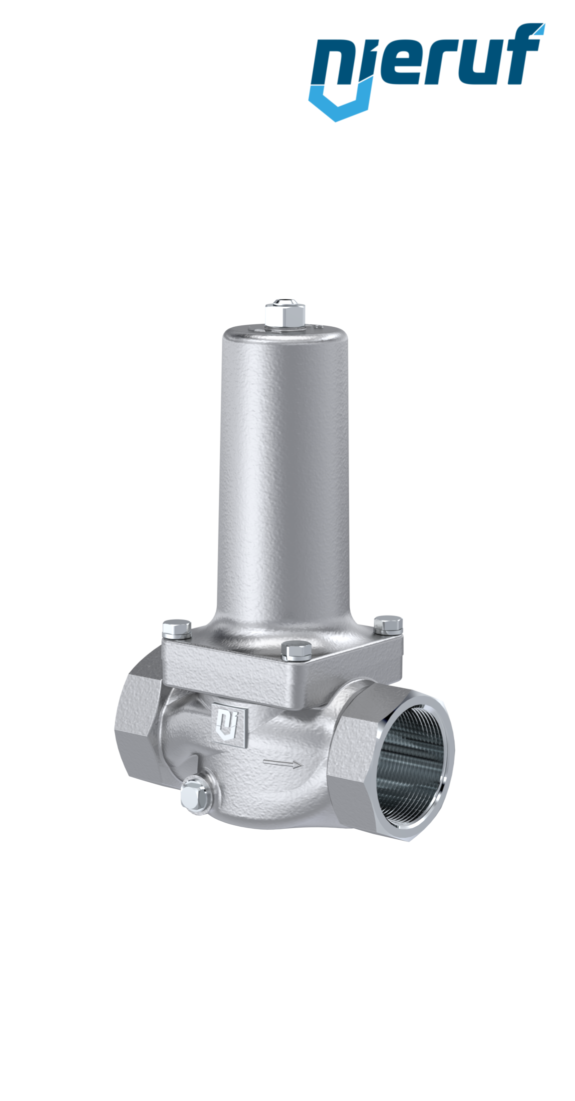 Membran-Druckminderer 2" Zoll NPT DM19 EPDM FDA 1,5 - 6,0 bar