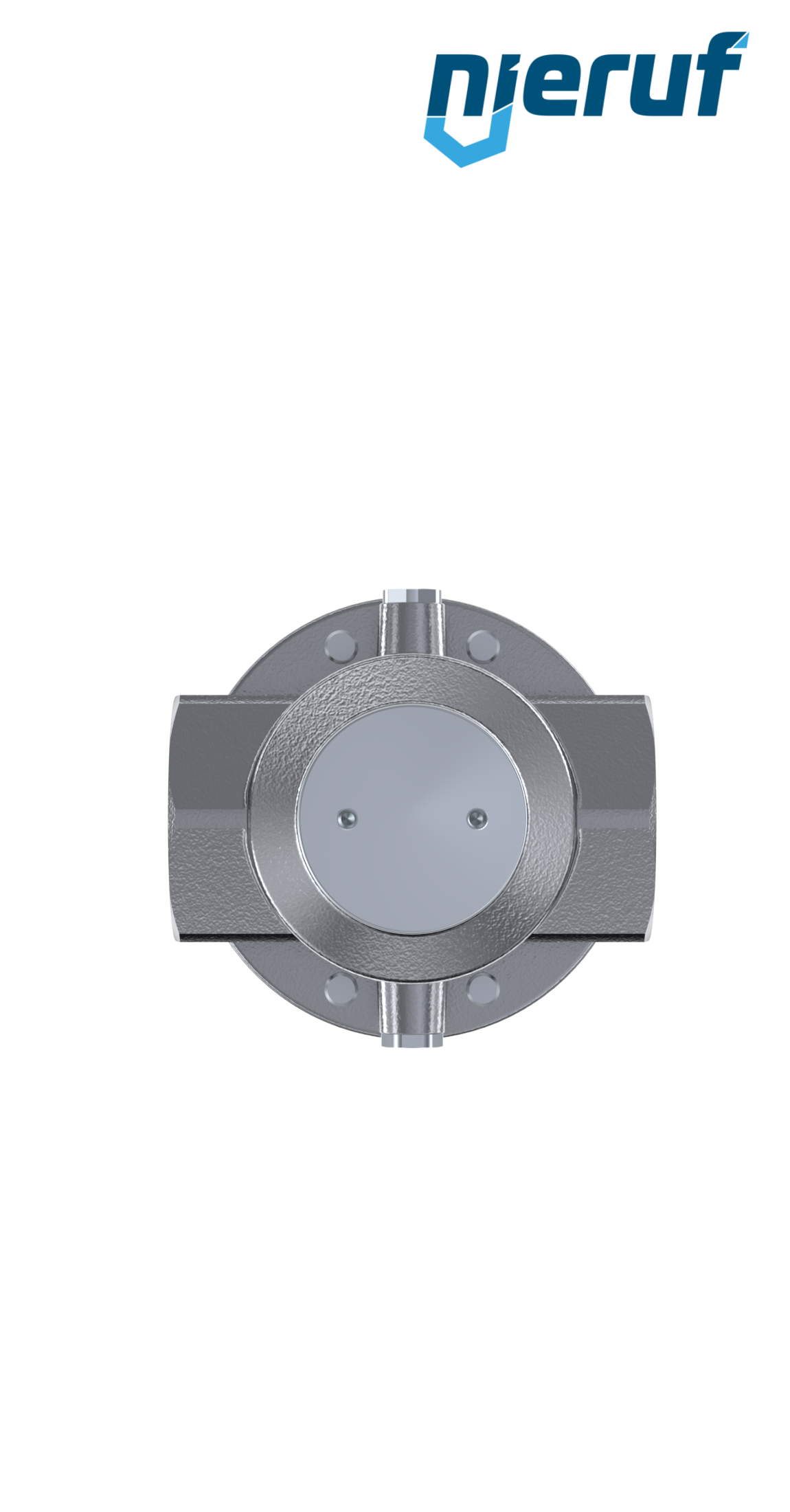 regolatore di pressione di precisione 2" pollici DM15 acciaio inossidabile EPDM 5.0 - 30.0 bar