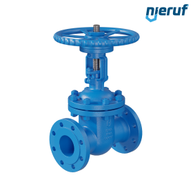 Keilrundschieber aus Stahlguss 1.0619+N AS02 DN80 PN25